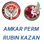 Amkar Perm Rubin Kazan