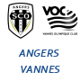 Angers Vannes