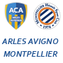 Arles Avignon Montpellier