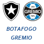 Botafogo Gremio