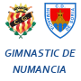 Gimnastic de Tarragona Numancia