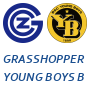 Grasshopper Young Boys Bern