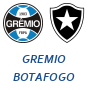Gremio Botafogo