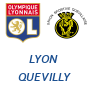 Lyon 1:0 Quevilly resume, HIGHLIGHTS goals, buts, resume 28/04/2012