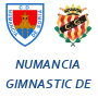 Numancia Gimnastic de Tarragona