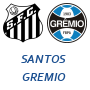 Santos Gremio