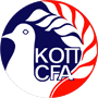 Matchs en direct Egypte
